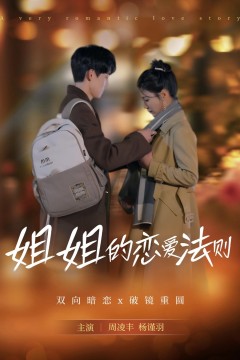 姐姐的恋爱法则