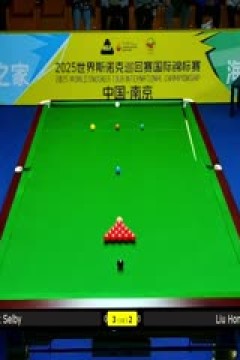 2025斯诺克国际锦标赛延期资格赛第一轮马克·塞尔比6-5刘宏宇20251102