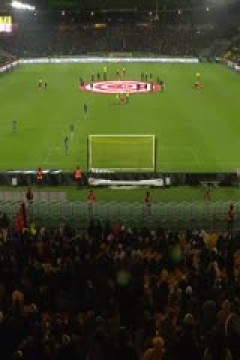 法甲联赛 南特VS里昂 20250127