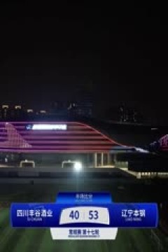 CBA常规赛第17轮 四川丰谷酒业VS辽宁本钢 20241213