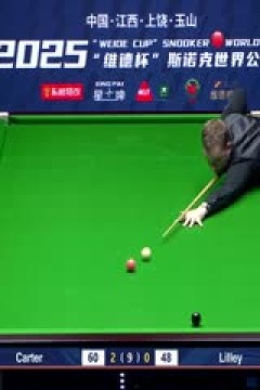 斯诺克玉山世界公开赛16进8大卫·利利1-5阿里·卡特20250226