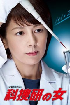 科搜研之女第14季