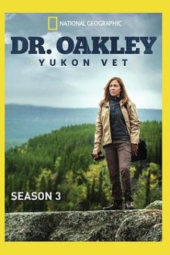 育空兽医第三季