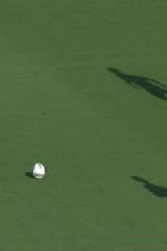 意大利杯第一轮 布雷西亚VS威尼斯 20240812