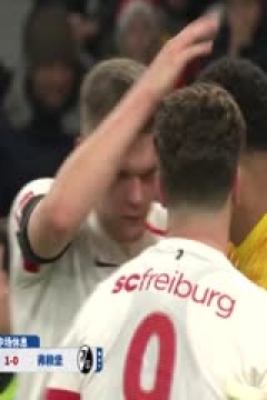 德甲联赛 勒沃库森VS弗赖堡 20241222