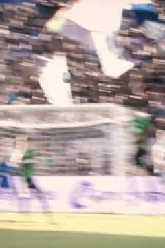 意甲联赛 都灵VS佛罗伦萨 20250901