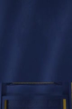 NBA常规赛 骑士VS掘金 20240401