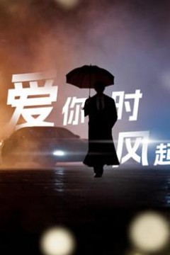 爱你时风起