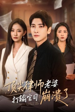 顶尖律师老婆打输官司崩溃了(爱至深处不回头)