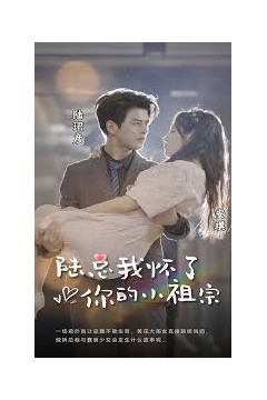 陆总，我怀了你的小祖宗