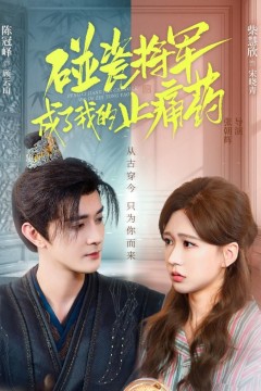 碰瓷将军成了我的止痛药