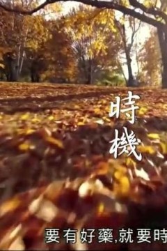 神奇百草游粤语