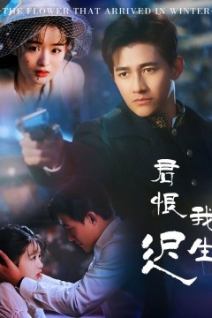 君恨我生迟(司令府就是我的家)