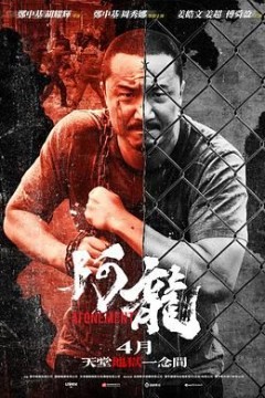 再见阿龙国语版