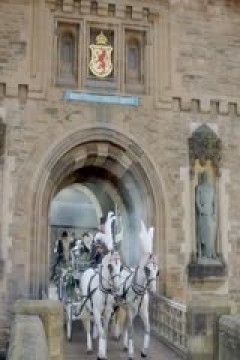 亚洲杯 卡塔尔vs中国 20240122(CCTV5)