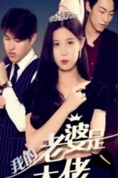 我的前妻是大佬