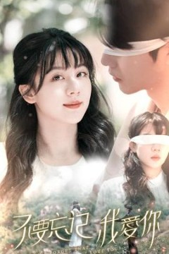 不要忘记我爱你短剧