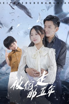 被偷走的那五年短剧