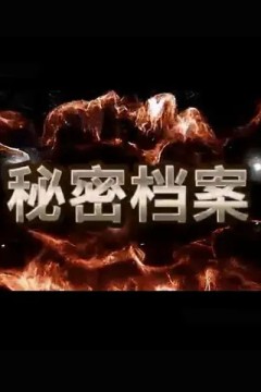 秘密档案