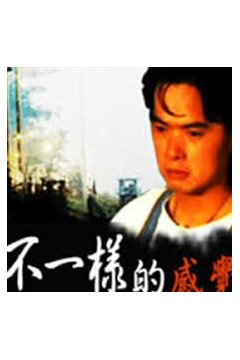 不一样的感觉1999