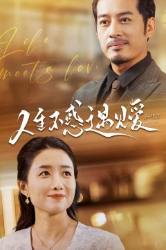 人生不惑遇见爱(中年闪婚老伴竟是全国首富)