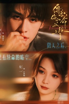 傅总，你的命我续上了