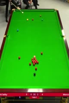 2024斯诺克德国大师赛资格赛马克·塞尔比1-5傅家俊20240129