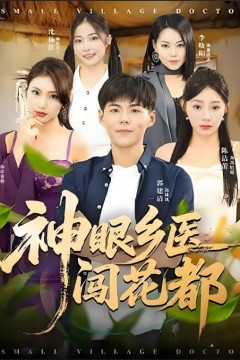 神眼乡医闯花都