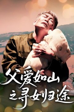 父爱如山之寻女归途