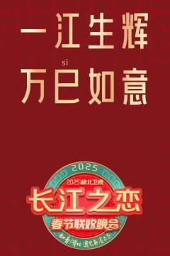 2025湖北卫视春节联欢晚会