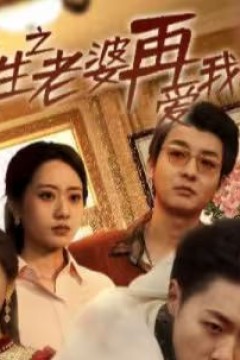 重生之老婆再爱我一次(重生2008)