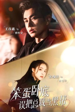 笨蛋卧底，误把总裁当黑帮