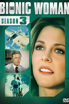 老版无敌女金刚第三季