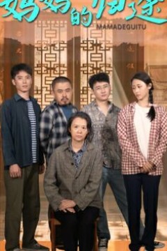 妈妈的归途(归来之金凤成龙)