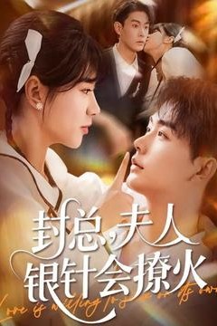 封总，夫人银针会撩火