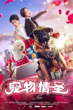宠物情圣
