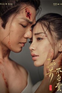 孤芳不自赏纪录片寻芳纪