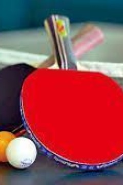 巴黎奥运会乒乓球男子团体半决赛：日本vs瑞典