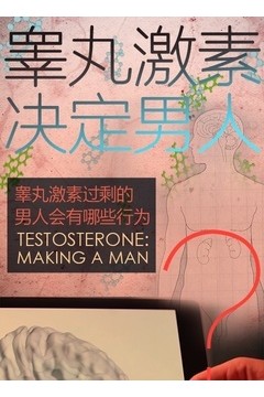 睾丸激素决定男人