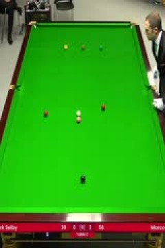 2024斯诺克德国大师赛资格赛马克·塞尔比1-5傅家俊20240129(李照)