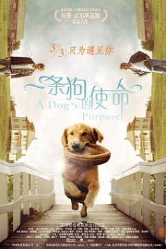 一条狗的使命(国语版)