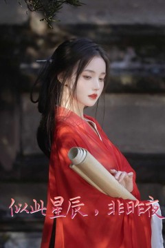 似此星辰非昨夜(似此星辰，非昨夜)(我的夫君来自现代)(智驭权谋将军的童养夫)