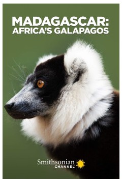马达加斯加：非洲的加拉帕戈斯群岛