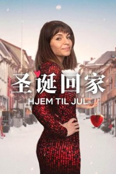 圣诞寻伴第三季