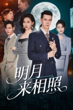 明月来相照裂痕之上的新生