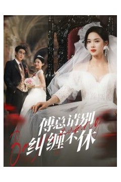 傅总请别纠缠不休