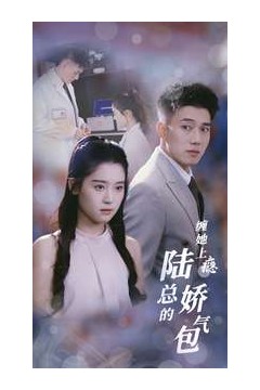 缠她上瘾陆总的娇气包