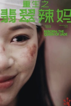 重生之翡翠辣妈