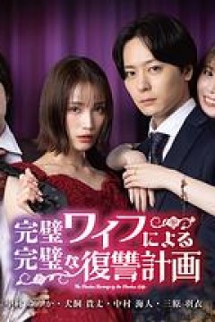 完美妻子的完美复仇计划