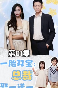一胎双宝：总裁娶一送一！